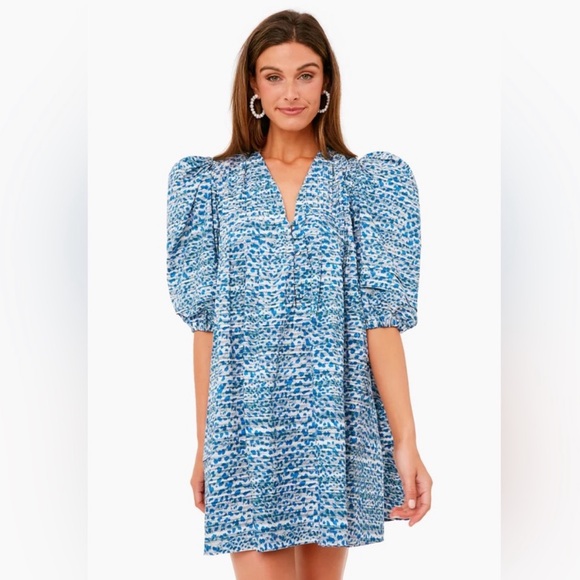 Hunter Bell Jenkins dress in Terrazzo Leopard (Blue), Size XS - Picture 9 of 9